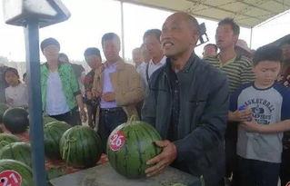 各国吃瓜群众对比,全球“吃瓜群众”文化现象对比概述