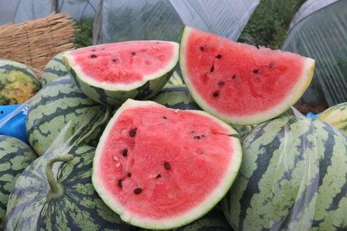 怎么吃棚瓜,解锁健康美味新体验