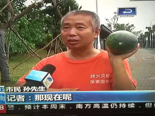 155吃瓜热点事件,揭秘网络舆论背后的真相与争议