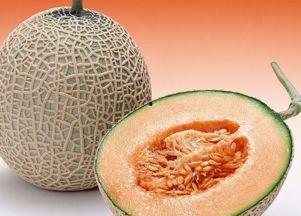 宋小宝吃哈密瓜年糕,趣味横生演绎美食之旅