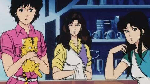 猫眼三姐妹吃瓜,揭秘娱乐圈的瓜田秘闻