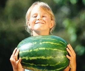 深圳龙湖吃瓜视频,邻里互动，欢乐无限