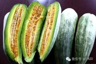 羊角酥瓜水果怎么吃,美味新体验