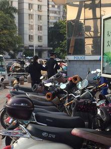 电瓶车吃瓜,揭秘电瓶车界的“网红”现象