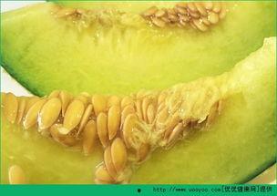 孕初期可以吃哈密瓜,哈密瓜助力母婴健康