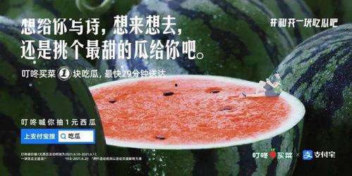 吃瓜文案网站,吃瓜群众带你领略明星幕后故事