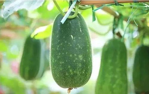 吃瓜都没有吃明白,揭秘娱乐圈那些让人摸不着头脑的幕后真相