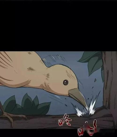 怪奇笔记 吃瓜,揭秘吃瓜背后的神秘世界