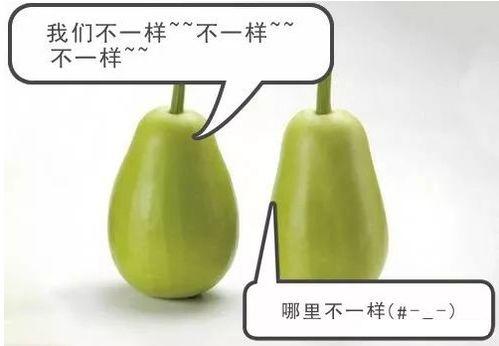 去雄安吃瓜,一场别开生面的“吃瓜”之旅