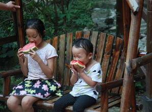 河南姐弟吃瓜,夏日田园欢乐多