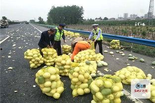 河南姐弟吃瓜,夏日田园欢乐多