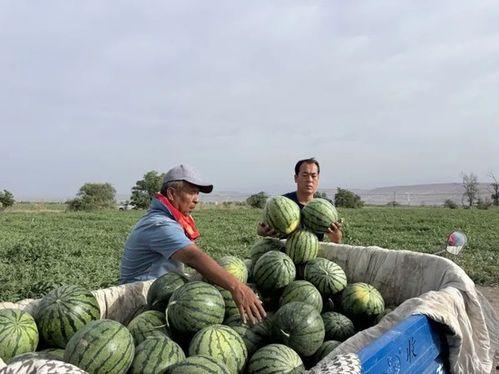 换亲吃瓜,一场吃瓜群众的全民围观