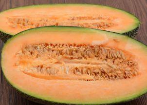 种哈密瓜的吃哈密瓜吗,哈密瓜的种植与美味之旅