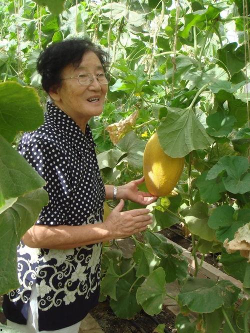 吃瓜秦世纪,揭秘古代宫廷的八卦风云