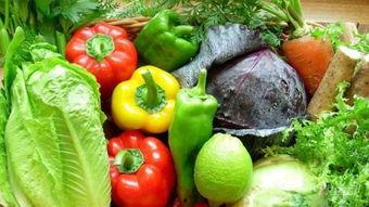 德国北威州吃瓜,瓜果飘香，品味田园生活