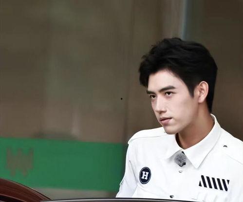 陈飞宇粉丝吃瓜,揭秘娱乐圈背后的真相