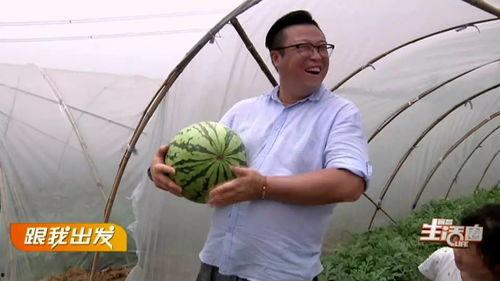 宜昌主播吃瓜,趣味横生直播秀引网友热议