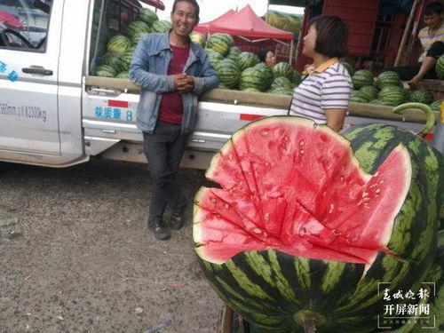 吃瓜群众海宁长安,揭秘娱乐圈背后的故事