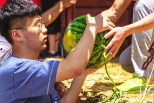 大学奇葩吃瓜事件,揭秘大学那些令人捧腹的奇葩吃瓜事件