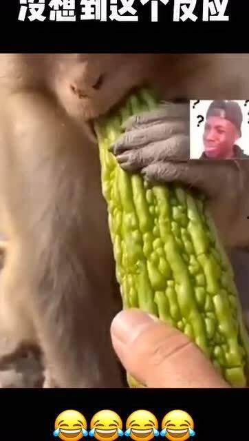 外国网友吃瓜反应,中国娱乐圈最新瓜，网友反应热烈！