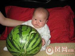 妈宝女吃瓜,揭秘当代女性在家庭与自我成长中的矛盾与抉择