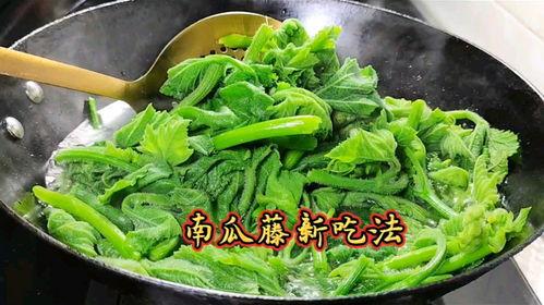 吃瓜南厨,揭秘美食背后的故事与传奇