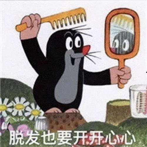 鼹鼠吃瓜表情包,鼹鼠吃瓜表情包萌动来袭