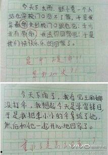 瓜老师的吃瓜日记会员分享,吃瓜日记会员分享大放送