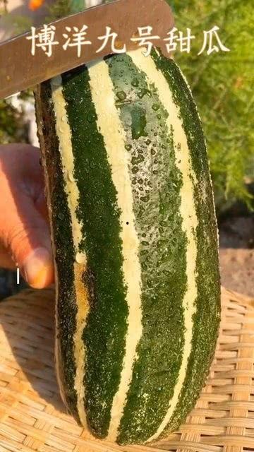 有吃瓜的没有吃瓜的,不同视角下的社会现象解析