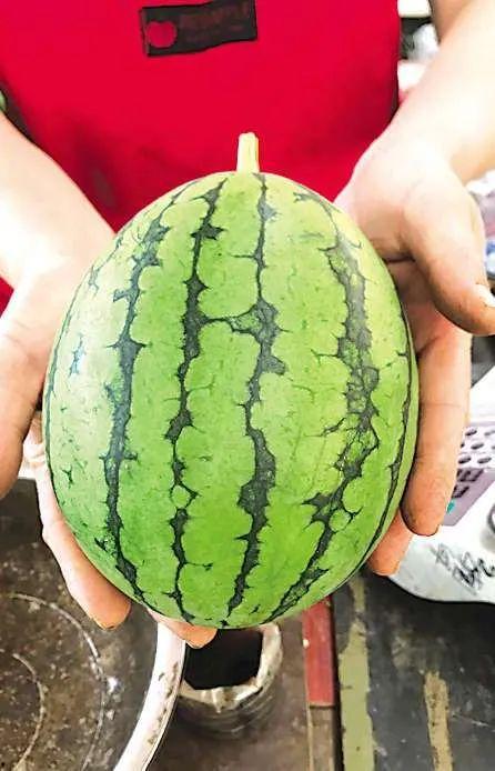 吃瓜甜水,探寻吃瓜甜水的独特魅力与制作秘诀