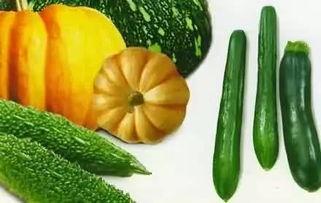 瓜里面丝可以吃的瓜,揭秘可食用瓜果的秘密