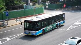 大黄吃瓜,探寻传统美食的奇妙融合