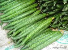 弟弟在阳台吃瓜,弟弟的悠闲午后时光