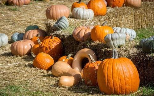 倒水泥吃瓜,吃瓜群众围观一幕