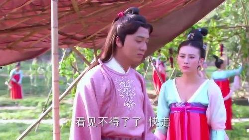 吃瓜小宫女心声,小宫女的心声揭秘