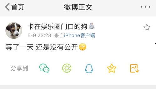 吃瓜爆料 入口,吃瓜爆料背后的真相大揭秘