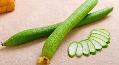 沈阳14岁吃瓜,沈阳14岁少年成为“吃瓜群众”的传奇故事