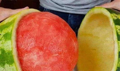 不同国家吃瓜视频,各国短视频现象解析