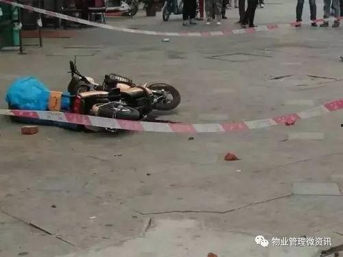 今早吃瓜了吗,揭秘娱乐圈最新热点