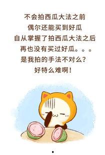 综穿做个吃瓜群众