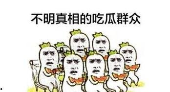 吃瓜群众的介绍语,揭秘吃瓜群众眼中的娱乐圈风云