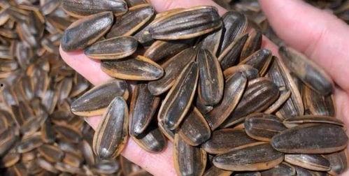 瓜子儿吃瓜,揭秘娱乐圈那些事儿