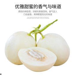 利津吃瓜事件,一场引发全民热议的网络狂欢