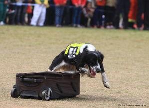在警局吃瓜,揭秘警民互动的温馨瞬间