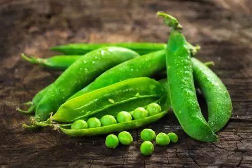 吃瓜的萌豆,揭秘娱乐圈那些事儿