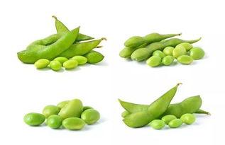 吃瓜的萌豆,揭秘娱乐圈那些事儿