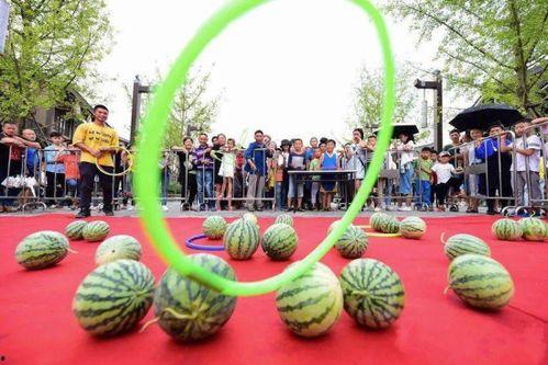 fun 吃瓜,探寻“吃瓜”背后的趣味与真相