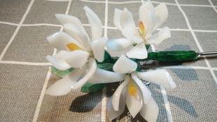 簪娘吃瓜玉兰,揭秘玉兰背后的故事