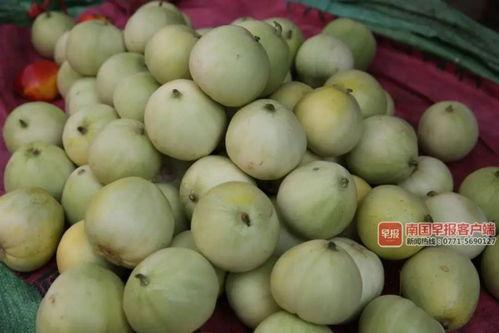 南宁吃瓜排行,吃瓜排行揭秘热门小吃宝藏