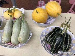 今日吃瓜 大全,盘点娱乐圈最新热点事件